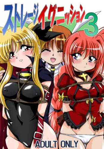 [Thirty Saver Street 2D Shooting] Storage Ignition 3 (Mahou Shoujo Lyrical Nanoha / Magical Girl Lyrical Nanoha)