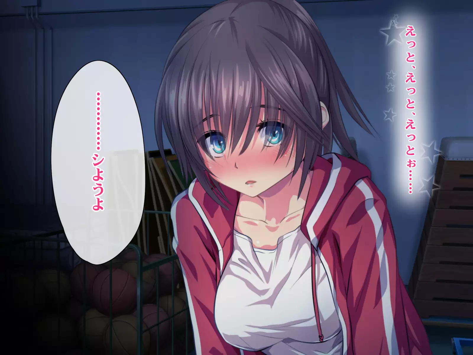 Kotori to Tsubasa to Icha Hame Online