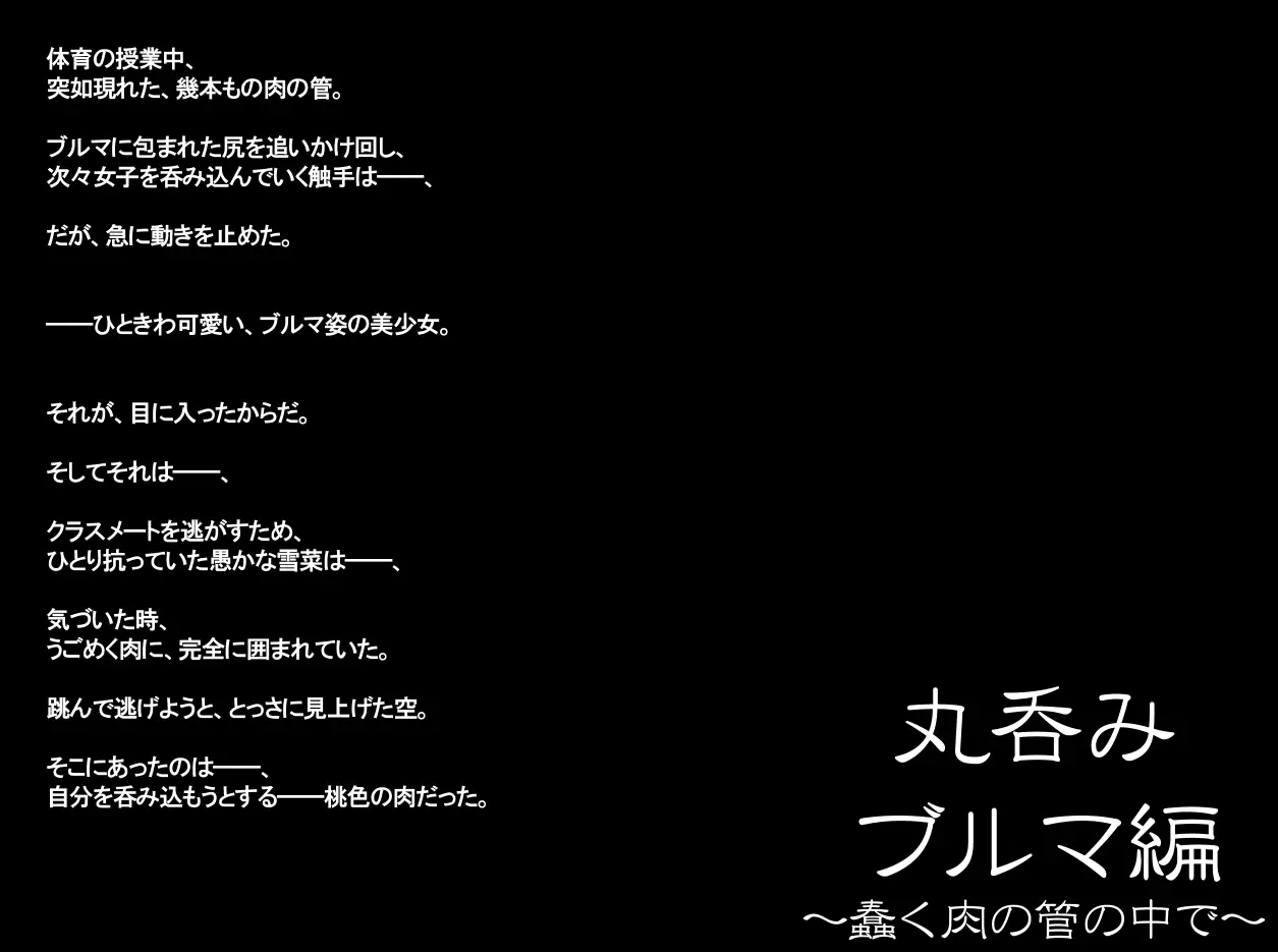 yabure, bakunyu chochichi naedoko ni, benki ni Daraku To sa reru hiroin!~ Hime ￮ setsuna ~