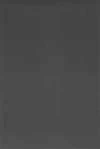 (Ryonaket 3) [Haka no Shita ni iru (Various)] Touhou Roadkill Joint Publication (Touhou Project)