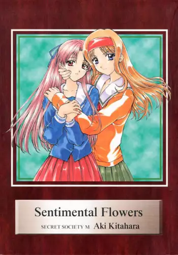 Isshun no Sentimental | A Sentimental Moment