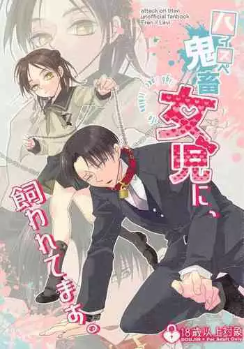 [kyoboneko] haisupekichikujojini、kawaretemasu。 (shingekinokyojin)