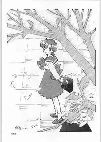 (C45) [Uroboros (Various)] Paraselene (Bishoujo Senshi Sailor Moon)