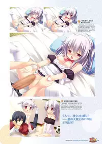 Zettai Series Visual Collection