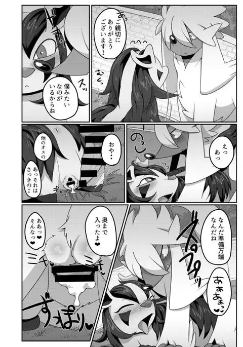 2代目!グラサーの姫