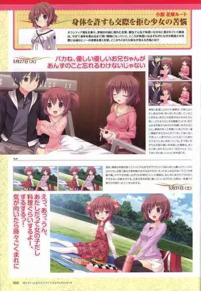 Hare Nochi Kitto Nanohana Biyori Visual Fanbook