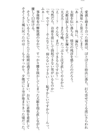戦国犬姫!