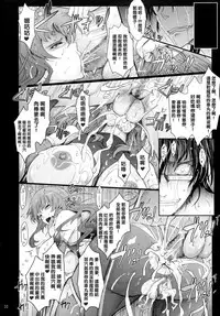 (C89) [Garyuh-Chitai (TANA)] Taimanin Hasuma Reiko Gokuraku no Arena (Taimanin Asagi Kessen Arena) [Chinese] [沒有漢化]