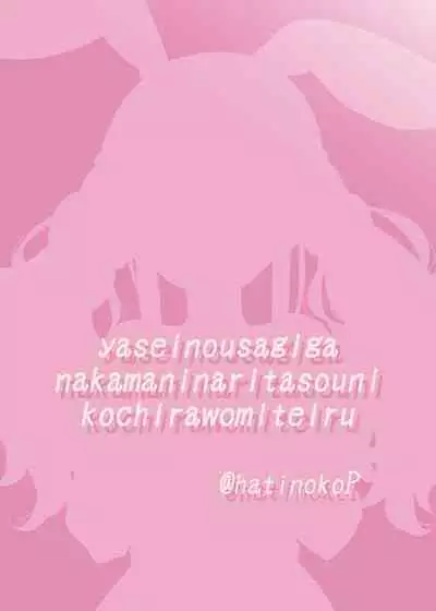 Yasei no Usagi ga Nakama ni Naritasou ni Kochira o Miteiru | Wild Rabbit Is Looking At You As If It Wants To Be Friends