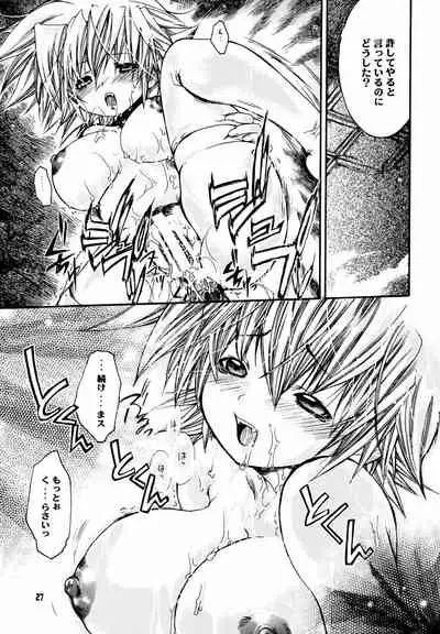 (C63) [Seinansei ni Kagayakeu Hoshi (Morino Papiko)] Shuuen no Nai Yoru o Mukaete (Hellsing)