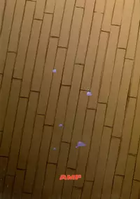 (C92) [AMP (Norakuro Nero)] Inma-jutsu Kyousei Koubi (Rokudenashi Majutsu Koushi to Akashic Records) (English)