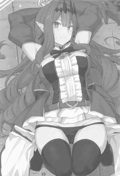 (C100) [Ohanabatake (Siseki Hirame)] Baobhan Sith to Sex Shinai to Derarenai Heya (Fate/Grand Order) [Chinese] [黎欧出资汉化]