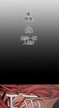 捕猎母猪 [中国翻訳]