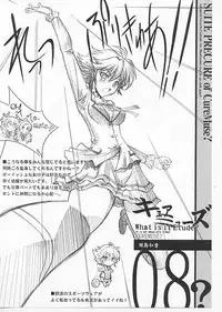 (C80) [BLUE GARNET (Seizawa Katsumi)] Mugen Houyou (Suite Precure)