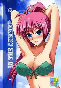 (C76) [FANTASY WIND] SIGSIG EX (Mahou Shoujo Lyrical Nanoha)