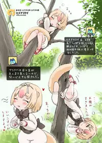 [ 「」] Himearikui - Silky Anteater (Kemono Friends)