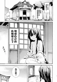 (C89) [Satellites (Satetsu)] LORIM (Touhou Project) [chinese] [無毒漢化組]