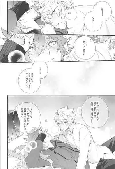 Hajimete wa Taisetsu ni Shitai Otoko VS Zettai ni Koubi Shitai Takoningyo♂