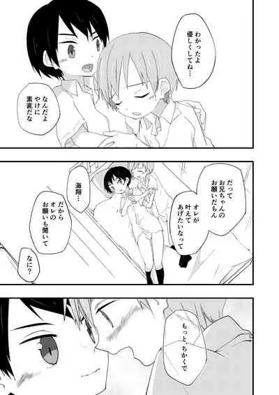 リバリバリバーシブル