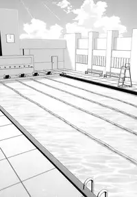 (COMITIA93) [Tsukiyomi (Porurin)] Bunkasai no Shiori