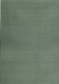 (C72) [bolze. (rit.)] Oujo no Junan (CODE GEASS: Lelouch of the Rebellion)