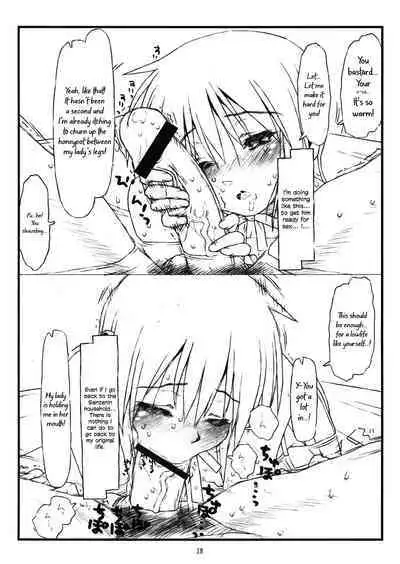 (C74) [bolze. (rit.)] Kara no Naka no Kotori ja Naku Ori no Naka no Koneko | Not a Sheltered Songbird But a Caged Kitten (Hayate no Gotoku!) [English] {defski}