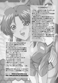 (CR33) [Studio Wallaby (Takana Yu-ki)] SECRET FILE NEXT 6 (Kidou Senshi Gundam SEED)