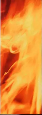 [Kawamoto Hiroshi] Urakan & Rana