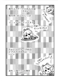 (C80) [Circle Nuruma-ya (Tsukiwani)] Hijirin Yume Mousou (Touhou Project) [English] [CGrascal]