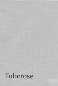 (Sennen Battle Phase 5) [Shallow Sleep++ (Shiina Yu)] Tuberose (Yu-Gi-Oh! Zexal)