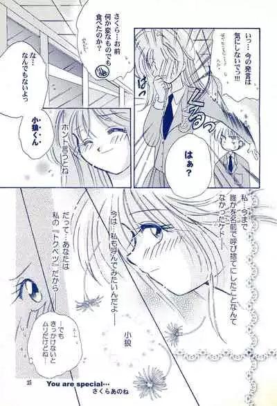 (C59) [Cherry Blossom (Sakura Anone)] Angelic (Cardcaptor Sakura)