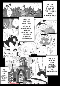 (Shuuki Reitaisai 4) [Dai ③ no Shippo (ATM)] Ecchi na Gensoukyou ~Patchouli to Ecchi na Mahou Hen~ (Touhou Project) [English] {doujins.com}