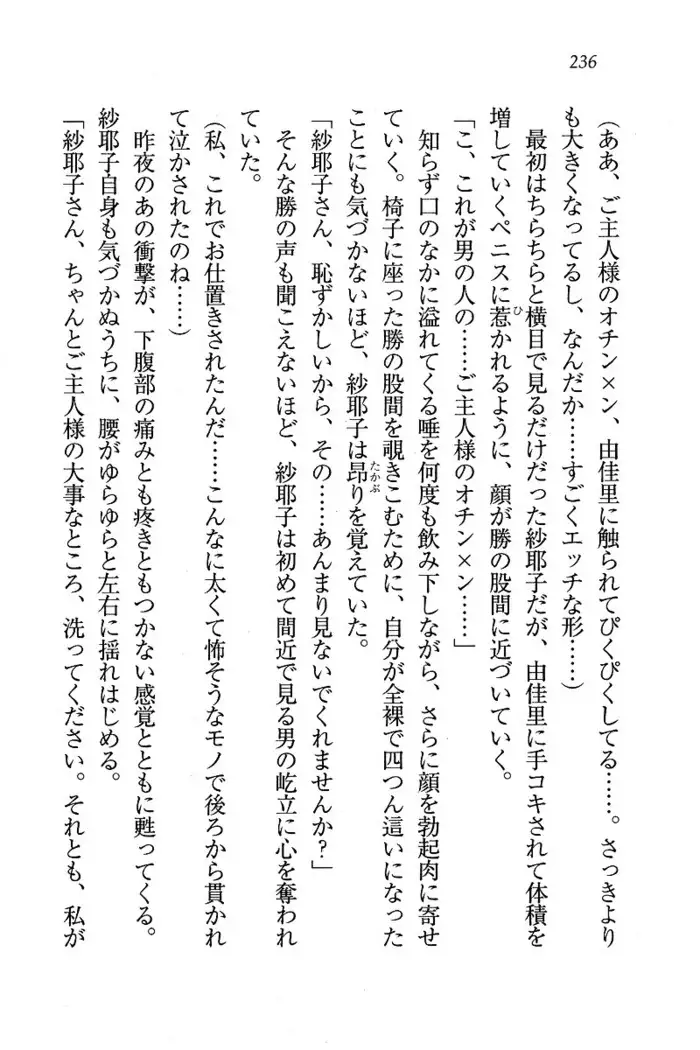 メイドなります ! ~おしおき