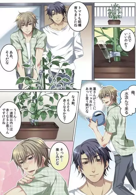 Celeb, Kai Hajimemashita ~Tomato Kareshi no Tsukurikata~