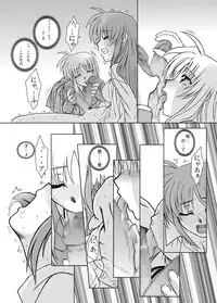 [Fresnel Lens (Hirano Kana)] 19→13 VerF (Mahou Shoujo Lyrical Nanoha) [Digital]