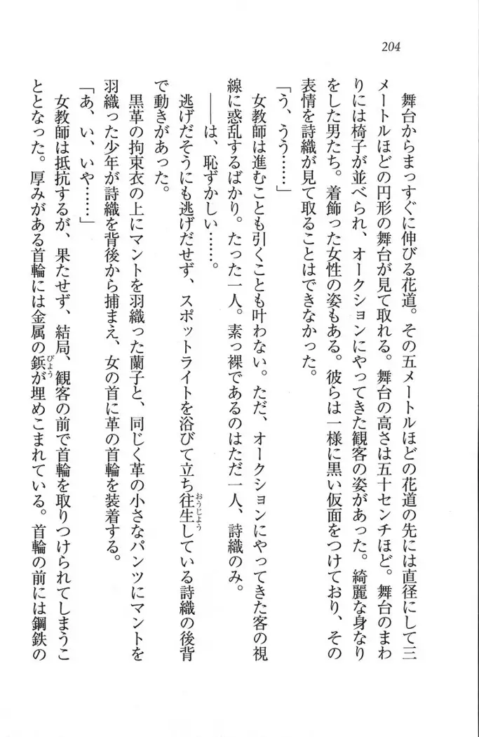 解放区~痴漢ハーレム