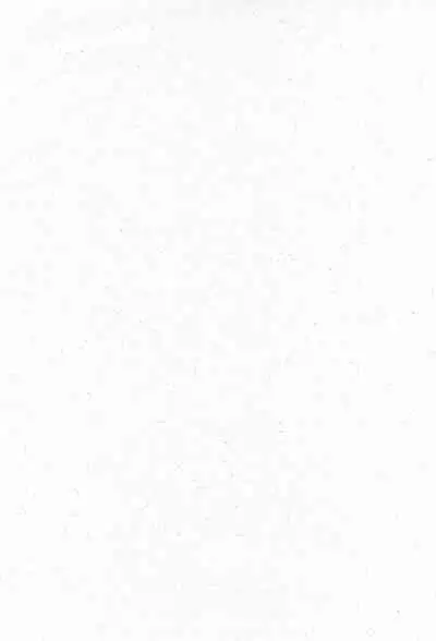 (SC19) [Shoryutei (Shoryutei Enraku)] Re: Shoryutei Light 2