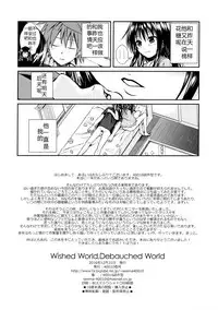 (C91) [40010 1-GO (Shimanto Shisakugata)] Wished World,Debauched World (To Love-Ru) [Chinese] [佳奈助汉化组]