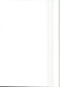 (C95) [Cheese Company (Peso)] Ecchi na Ecchi na Kenshou (Touhou Project)