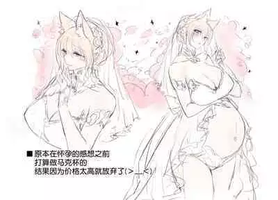 Irui Konintan Soushuuhen