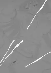 (C69) [T2 ART WORKS (Tony)] Maruyaki Barbecue (Zoids: Genesis)