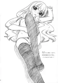 (C71) [MEKONGDELTA & DELTAFORCE (Route39, Zenki)] VOID (Zero no Tsukaima)