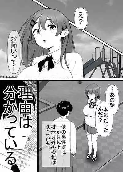 Seiso Kanojo, Kimo Buta Oyaji ni Netoraseru. Kishimoto Mika no Netorare Houkoku