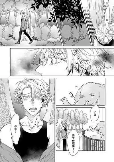 Fukurou no Koiwazurai | 猫头鹰的相思病