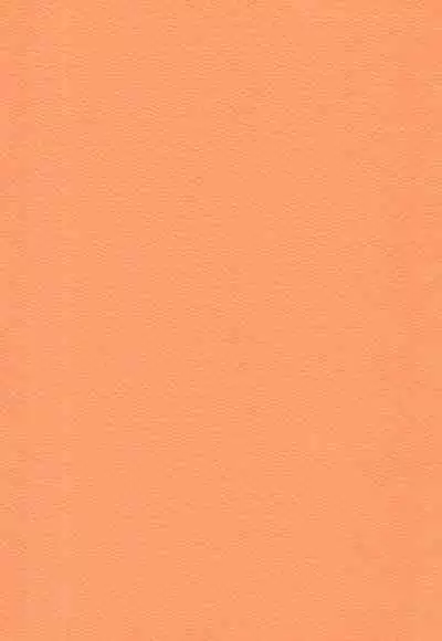 (CR33) [UROBOROS (Utatane Hiroyuki, Mach II)] out of order (Gad Guard)