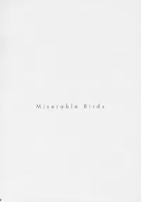 (C70) [EINSATZ GRUPPE (Charlie Nishinaka)] PRISONER 8 Miserable Birds (Gundam SEED DESTINY)