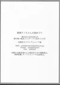 (C90) [Ame Usagi (Amedamacon)] Hatsujou Chino-chan no Himegoto (Gochuumon wa Usagi desu ka?) [Chinese] [绅士仓库汉化]