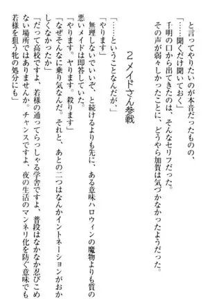 年上メイドの新婚日記