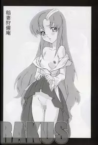 (C64) [studio C-TAKE (Miura Takehiro)] GUNYOU MIKAN vol.18 (Mobile Suit Gundam SEED)