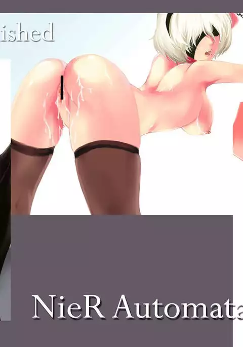 ヨルハ二号B型 punishment